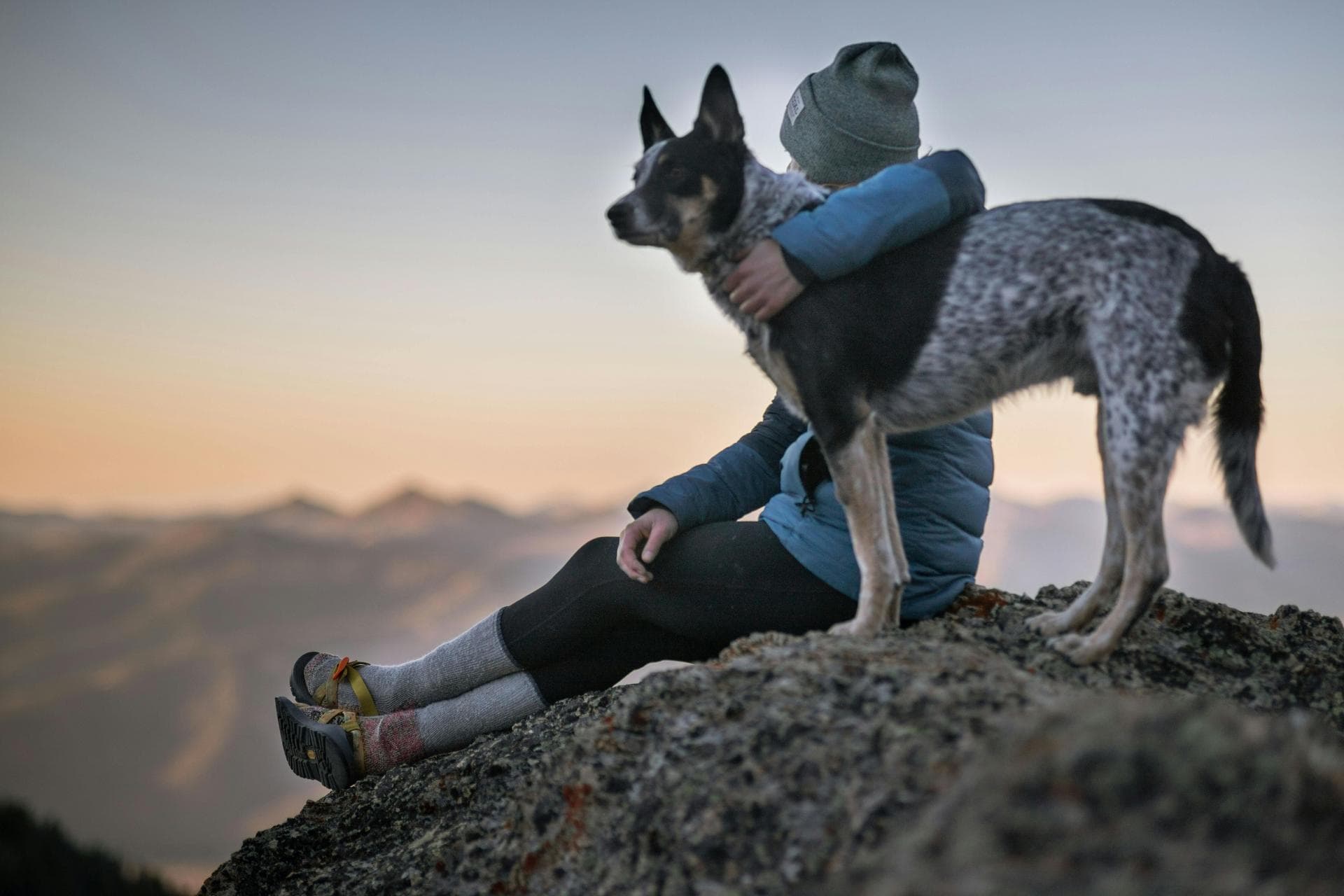 Dog & Cat Vets in Warrenton